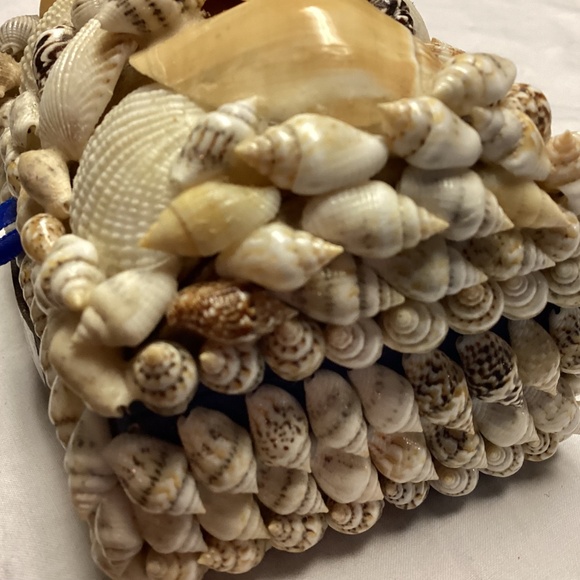 Sea shell box. Trinkets jewelry. - Picture 5 of 9